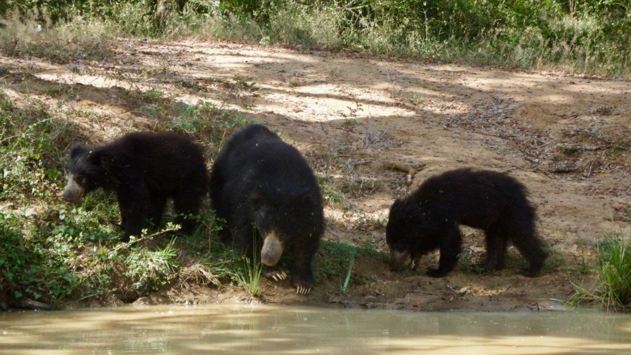 Kele Yala Villa Buitenkant foto
